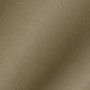 Faux Leather
