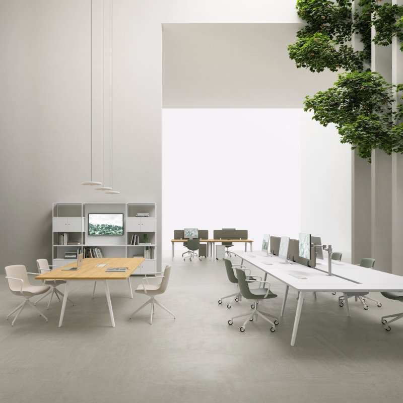 Workspace & open plan your team shows up for
