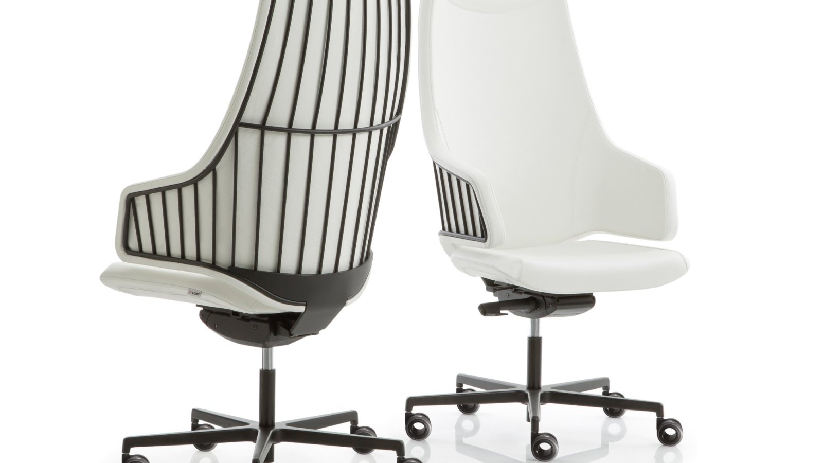 Executive office chair Italia by Luxy in a US corner office
