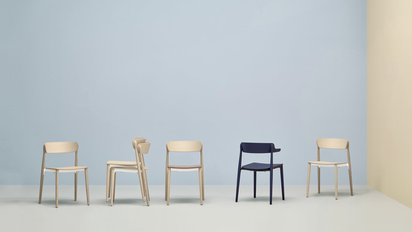 Nemea armchair by Pedrali at a dining table