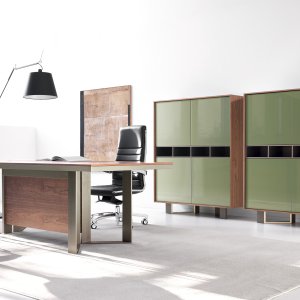 Lloyd finish program with walnut eucalyptus FENIX and gloss lacquer samples