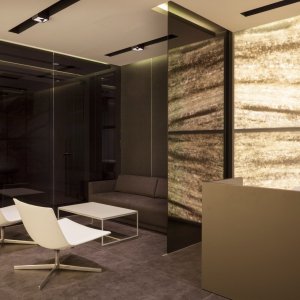 Four star aluminum swivel base of the Aston chair