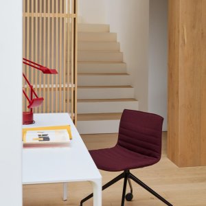 Italian designer chairs Catifa 53 lined up along a conference table