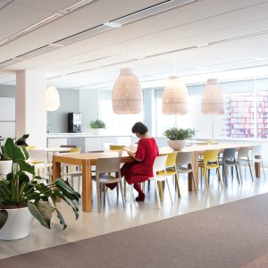 Italian designer chairs by Arper: the Juno 02 collection