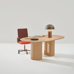 Kinesit in a boardroom