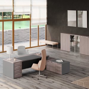 Conference table One for 14 people with glass-wood-glass top and hide insert
