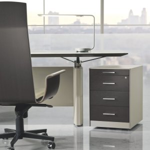 Executive suite furnished with De Symetria