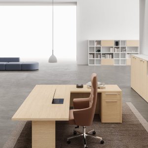 Leather-effect insert underlining the Oxford geometry