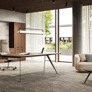 Spike by Frezza in an industrial-style executive office