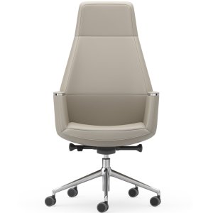 Musa Chair in a meeting room