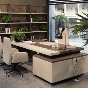 Kefa executive desk with a top in wood and leather