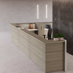 Nice reception desk in a corporate lobby in New York