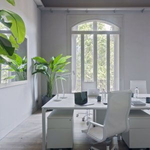 Self-braking castors under the Nulite executive chair