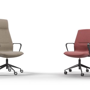 The two Synua versions side by side in an office