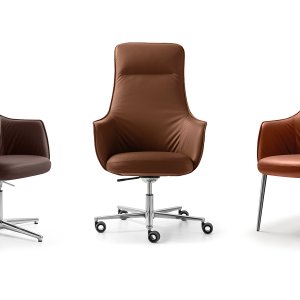 Polished Skill star, 27 1/2 in across, under a Not Guilty executive office chair