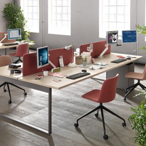 Martex Pigreco desk in Fenix with matching oak edge