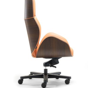 Vaghi Suoni chair against a timber wall panel