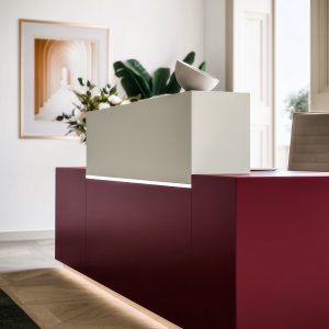 Anodized aluminum plinth under the Z1 counter
